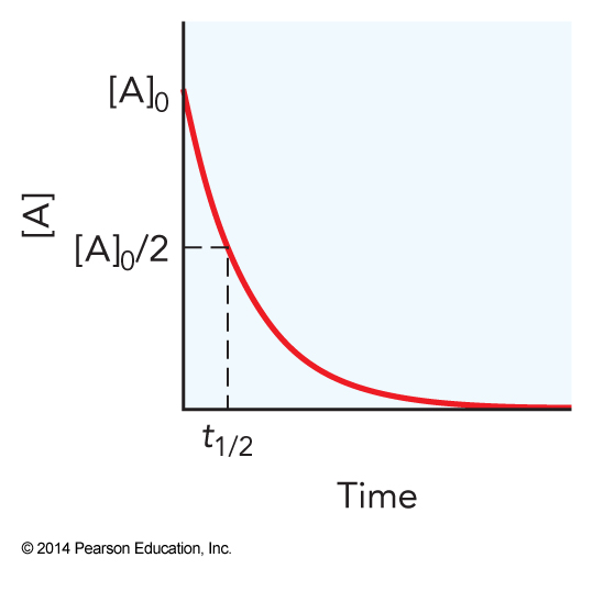 Plot of the concentration versus time for a first-order elementary reaction showing the exponential decay and the point at which the concentration is half of its initial value.